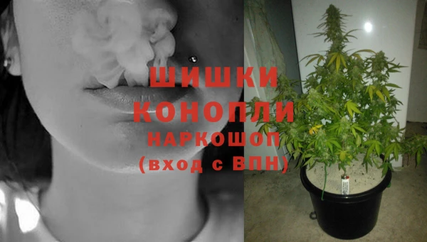 дурь Дмитровск