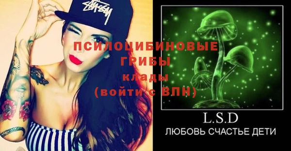 шишки Алексеевка