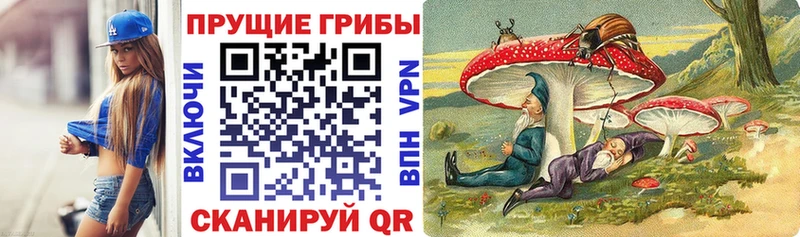 как найти закладки  Бежецк  Галлюциногенные грибы Cubensis 